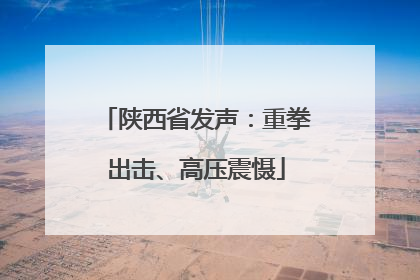 陕西省发声：重拳出击、高压震慑