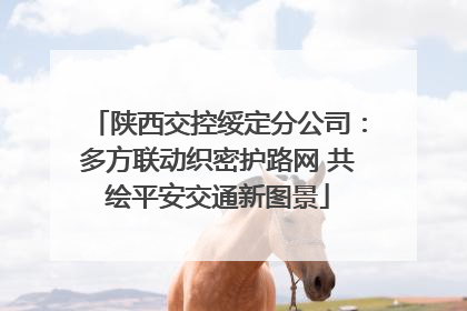 陕西交控绥定分公司：多方联动织密护路网 共绘平安交通新图景