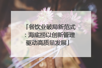 餐饮业破局新范式：海底捞以创新管理驱动高质量发展