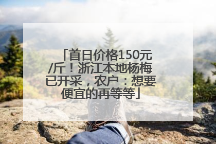 首日价格150元/斤！浙江本地杨梅已开采，农户：想要便宜的再等等
