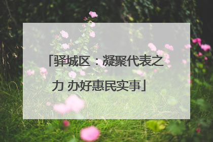 驿城区：凝聚代表之力 办好惠民实事