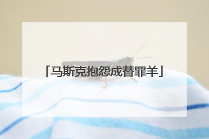 马斯克抱怨成替罪羊