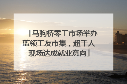 马驹桥零工市场举办蓝领工友市集，超千人现场达成就业意向