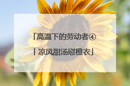 高温下的劳动者④丨凉风甜汤慰橙衣