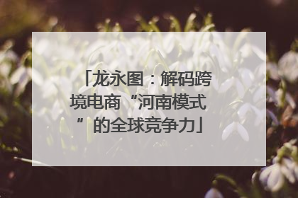龙永图：解码跨境电商“河南模式”的全球竞争力