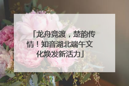 龙舟竞渡，楚韵传情！知音湖北端午文化焕发新活力