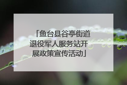 鱼台县谷亭街道退役军人服务站开展政策宣传活动