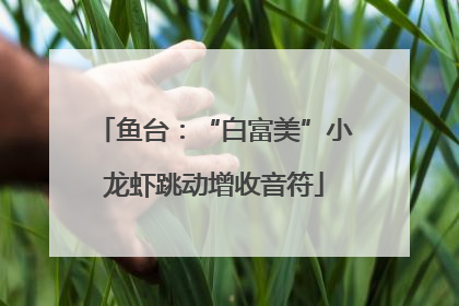 鱼台：“白富美”小龙虾跳动增收音符
