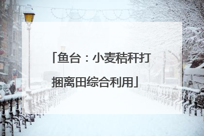 鱼台：小麦秸秆打捆离田综合利用