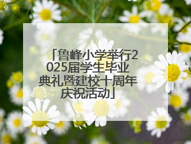 鲁峰小学举行2025届学生毕业典礼暨建校十周年庆祝活动