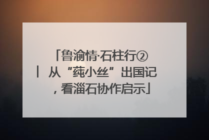 鲁渝情·石柱行② ︳从“莼小丝”出国记，看淄石协作启示
