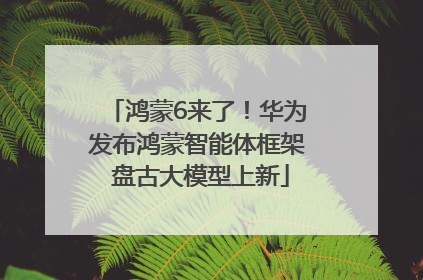 鸿蒙6来了！华为发布鸿蒙智能体框架 盘古大模型上新