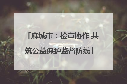 麻城市：检审协作 共筑公益保护监督防线