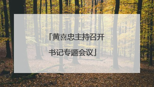 黄喜忠主持召开书记专题会议