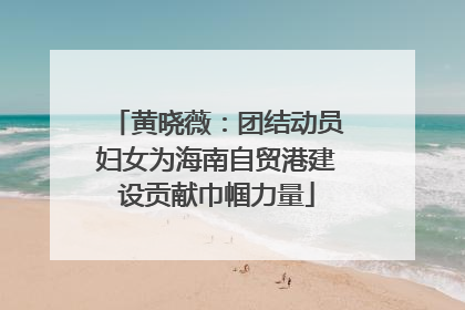 黄晓薇：团结动员妇女为海南自贸港建设贡献巾帼力量