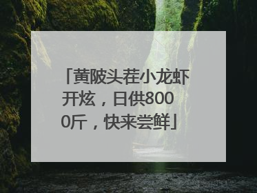 黄陂头茬小龙虾开炫，日供8000斤，快来尝鲜