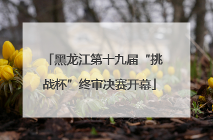 黑龙江第十九届“挑战杯”终审决赛开幕