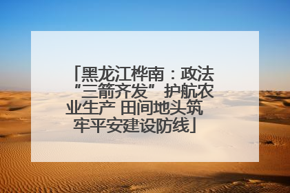 黑龙江桦南：政法“三箭齐发”护航农业生产 田间地头筑牢平安建设防线