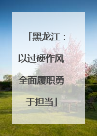 黑龙江：以过硬作风全面履职勇于担当