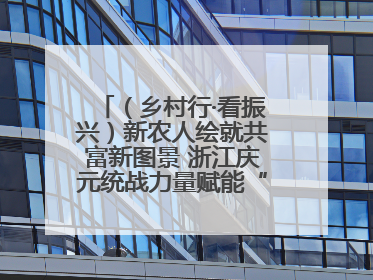 （乡村行·看振兴）新农人绘就共富新图景 浙江庆元统战力量赋能“海拔经济”
