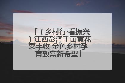（乡村行·看振兴）江西彭泽千亩黄花菜丰收 金色乡村孕育致富新希望