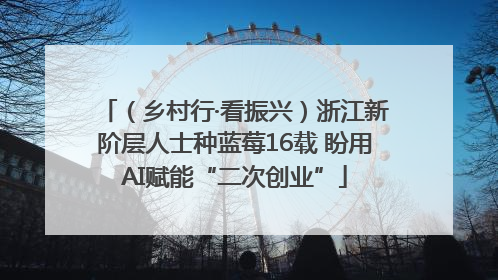 （乡村行·看振兴）浙江新阶层人士种蓝莓16载 盼用AI赋能“二次创业”
