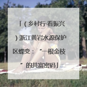 （乡村行·看振兴）浙江黄岩水源保护区蝶变：“一根金枝”的共富密码