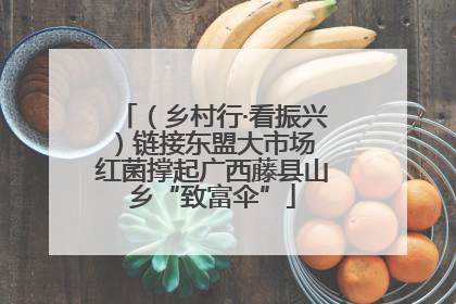 （乡村行·看振兴）链接东盟大市场 红菌撑起广西藤县山乡“致富伞”