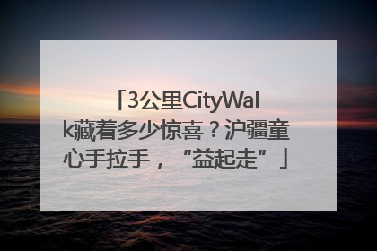 3公里CityWalk藏着多少惊喜？沪疆童心手拉手，“益起走”