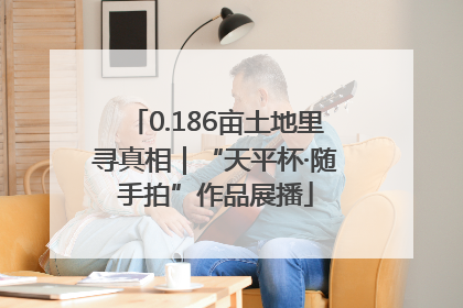 0.186亩土地里寻真相｜“天平杯·随手拍”作品展播