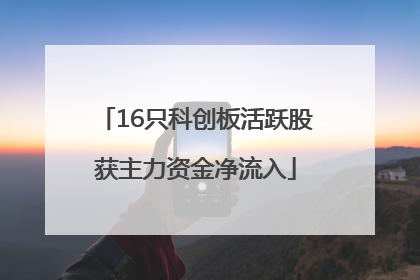 16只科创板活跃股获主力资金净流入
