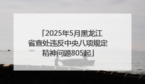 2025年5月黑龙江省查处违反中央八项规定精神问题805起