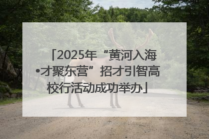 2025年“黄河入海•才聚东营”招才引智高校行活动成功举办