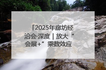 2025年廊坊经洽会·深度｜放大“会展+”乘数效应 打造消费新场景