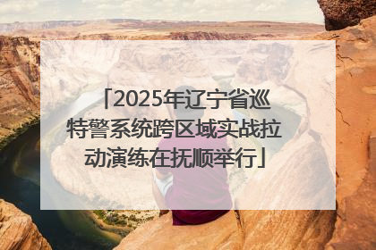 2025年辽宁省巡特警系统跨区域实战拉动演练在抚顺举行