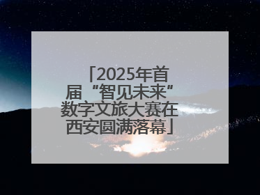 2025年首届“智见未来”数字文旅大赛在西安圆满落幕