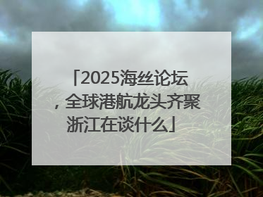 2025海丝论坛，全球港航龙头齐聚浙江在谈什么