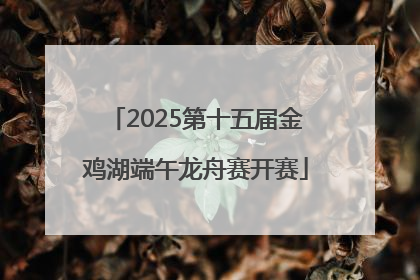 2025第十五届金鸡湖端午龙舟赛开赛