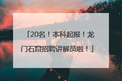 20名！本科起报！龙门石窟招聘讲解员啦！