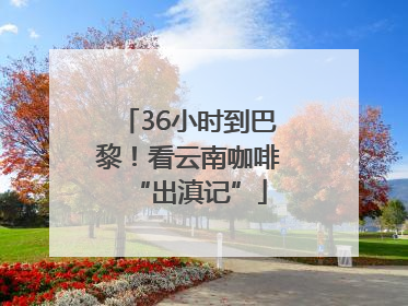 36小时到巴黎！看云南咖啡“出滇记”