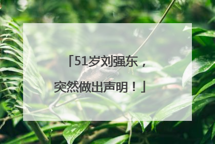 51岁刘强东，突然做出声明！