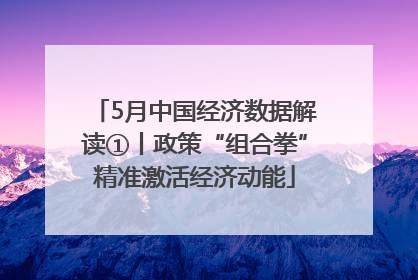 5月中国经济数据解读①丨政策“组合拳”精准激活经济动能