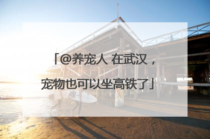 @养宠人 在武汉，宠物也可以坐高铁了