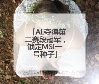 AL夺得第二赛段冠军，锁定MSI一号种子