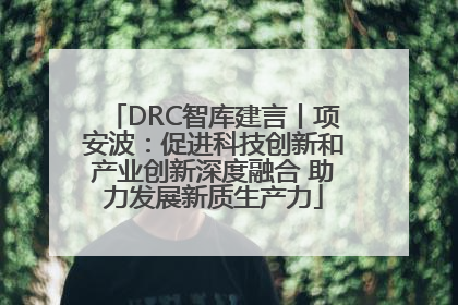 DRC智库建言丨项安波：促进科技创新和产业创新深度融合 助力发展新质生产力