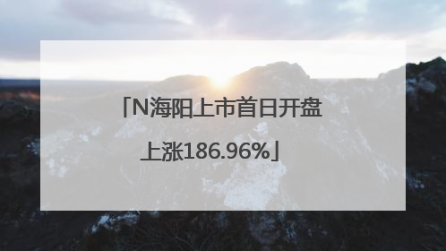 N海阳上市首日开盘上涨186.96%